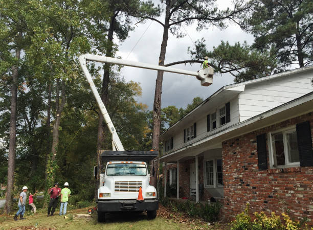 Best Weed Control  in Swedesboro, NJ